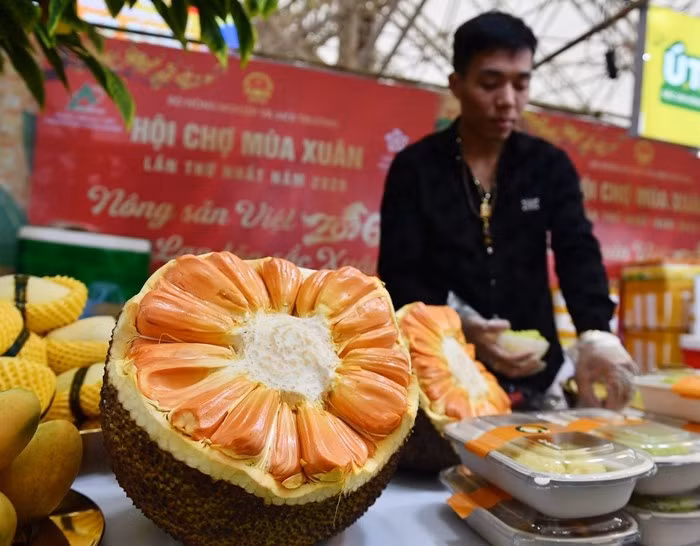 Mít Indonesia trái lớn trồng tại Đồng Tháp có giá bán 80.000 đồng/kg. Loại mít này giống mít dai, vị ngọt sắc, nửa quả đã nặng khoảng 7kg. Ảnh: Vietnamnet