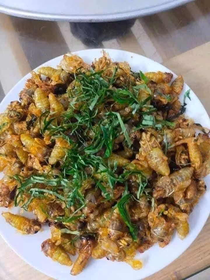 Cách làm đơn giản nhất và cũng được ưa chuộng nhất là nhộng ve chiên giòn, cho thêm chút nước mắm, tiêu. Ảnh: Facebook