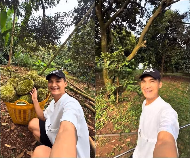 Mới đây, Mạc Văn Khoa đăng tải video thu hoạch trái cây ở vườn của nghệ sĩ Hoài Linh khiến nhiều khán giả thích thú. Ảnh chụp màn hình
