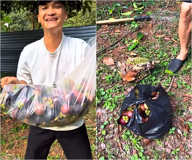 Hái khoảng nửa tiếng, Mạc Văn Khoa có một bịch nặng trĩu. Ảnh chụp màn hình