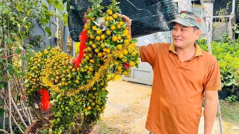 Tại xã Hưng Khánh Trung (tỉnh Vĩnh Long), bà con cũng tất bật tạo dáng cho các loại cây cảnh thành hình con ngựa. Ảnh: Nhandan