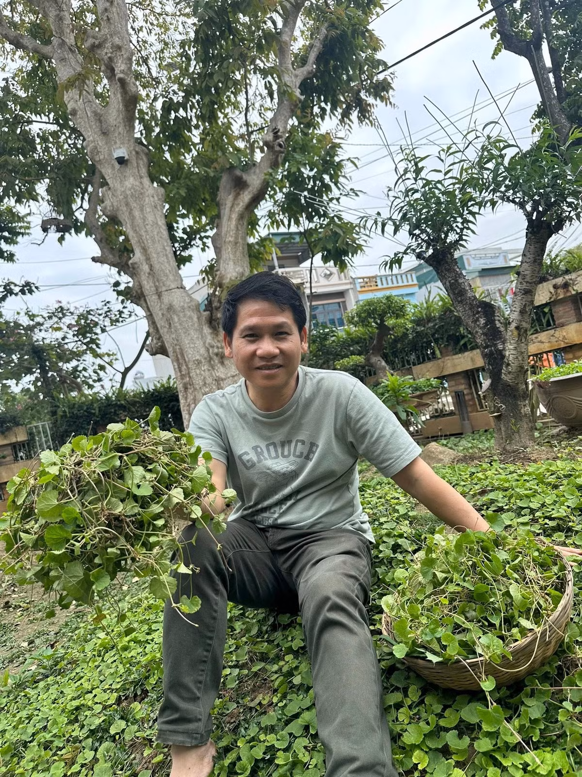 Ngọn rau má xanh mướt trong khu vườn là khu vực nam ca sĩ vô cùng yêu thích. Ảnh: FBNV