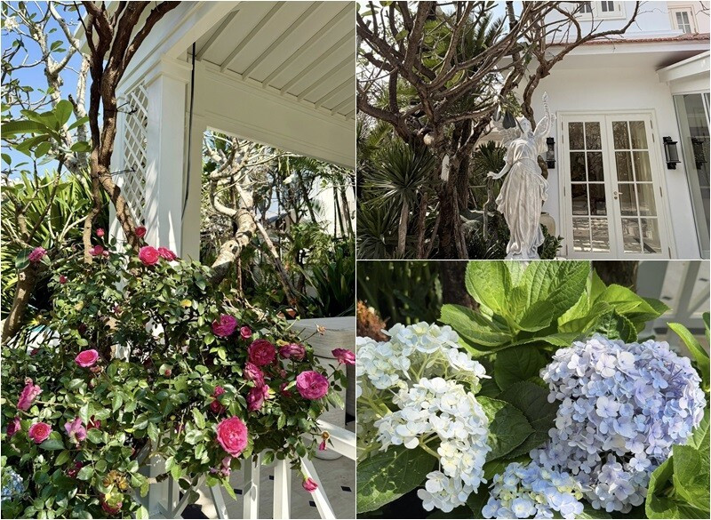 Thiết kế mở, căn nhà ưu tiên tối đa diện tích cho sân vườn và khu vực sinh hoạt chung. Ảnh: FBNV