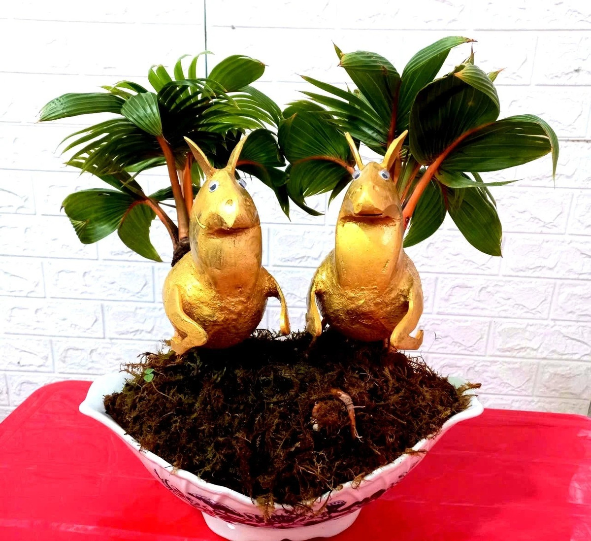 Những ngày giáp Tết Nguyên đán Bính Ngọ 2026, các chậu dừa bonsai tạo hình ngựa thiên thần của Đậu Thanh Tùng, xã Bình Lợi (TP HCM) thu hút sự chú ý của người tiêu dùng. Ảnh: Dân Việt