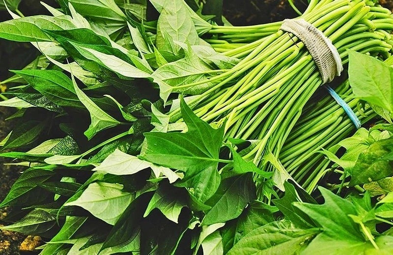 Tại các khu chợ ở nước ta, mỗi bó rau khoai lang giá chỉ từ 10.000 - 15.000 đồng. Ảnh: VOV