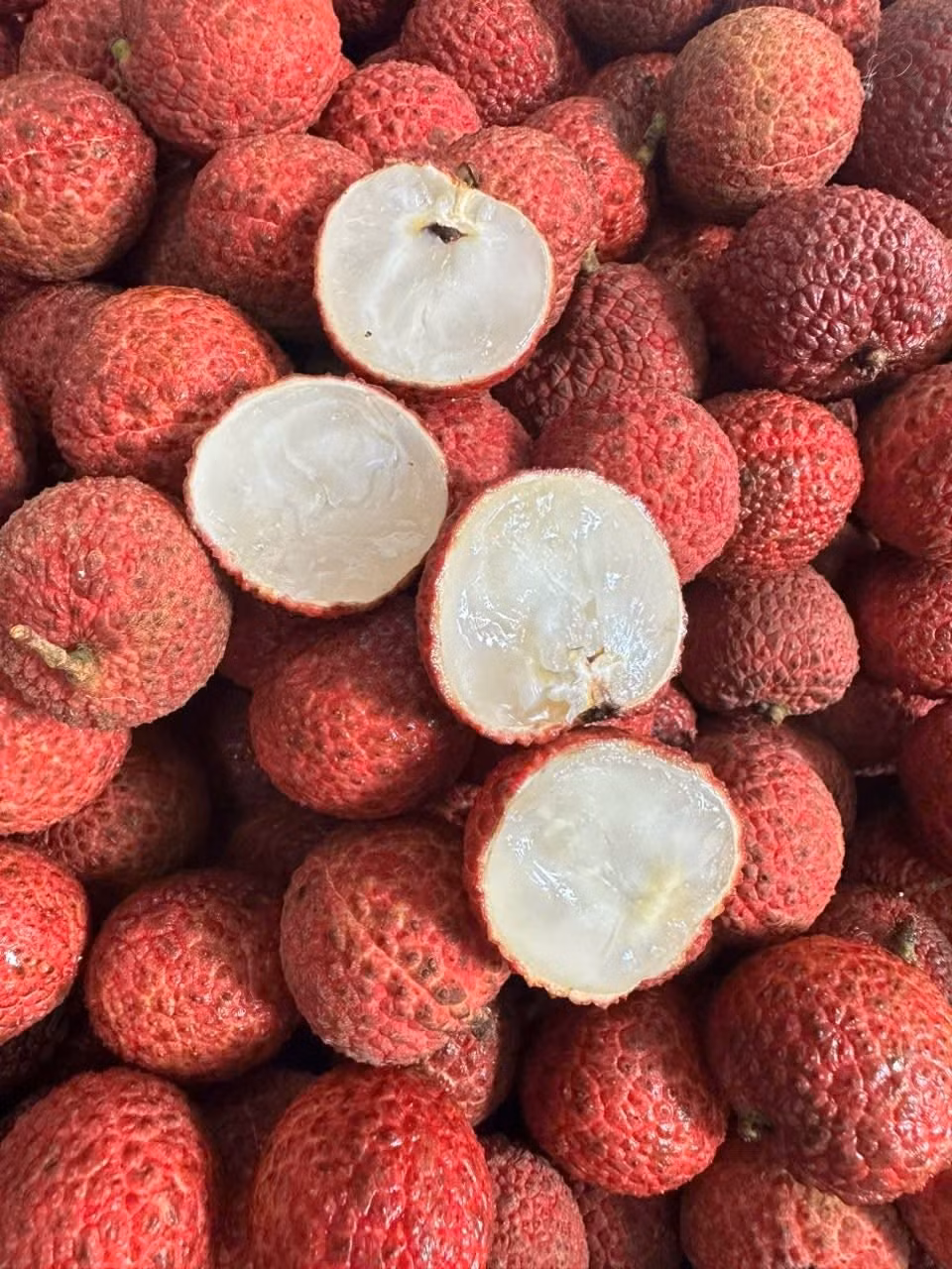 Ngay từ đầu vụ 2025, vải không hạt Thanh Hóa đã gây “sốt” tại nhiều điểm bán ở Hà Nội và TP HCM. Ảnh: Facebook