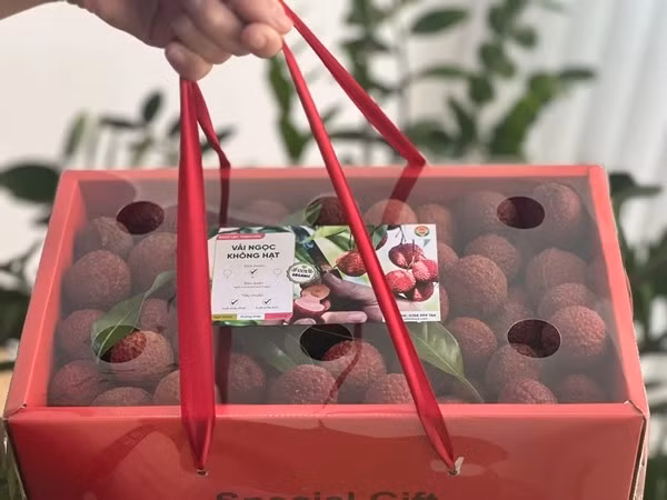 Tại một số cửa hàng trái cây cao cấp, vải không hạt Thanh Hóa giá lên tới 600.000 - 750.000 đồng/kg vẫn "cháy hàng". Ảnh: Khimfood