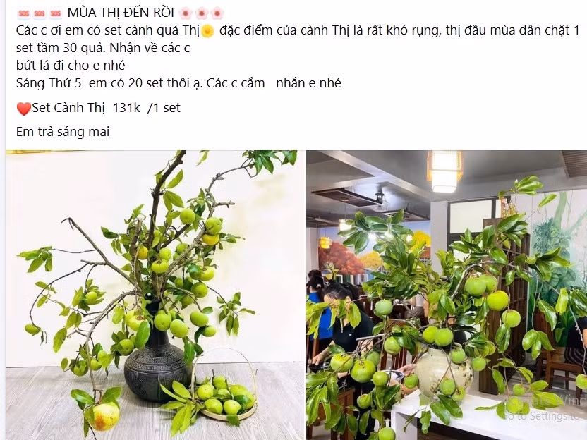 Trên chợ mạng, cành quả thị được rao bán từ 130.000 - 170.000 đồng/set. Mỗi set thị có từ 30 - 40 quả. Ảnh chụp màn hình