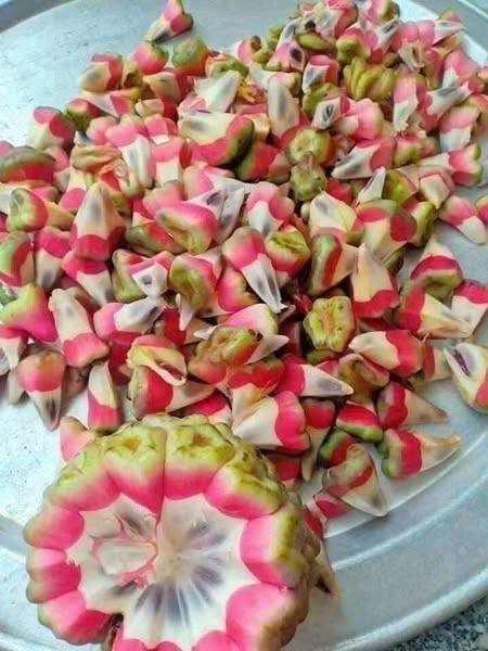 Ở Trung Quốc, thân và rễ cây na rừng có nhiều tác dụng dược lý như chữa viêm loét dạ dày - tá tràng, chữa phong thấp tê đau... Ảnh: Facebook