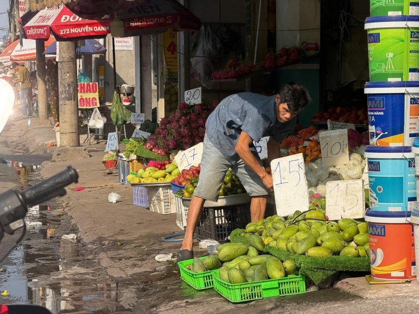 Tại TP HCM, xoài, thanh long... đang vào vụ thu hoạch nhưng giá khá rẻ. Ảnh: Plo