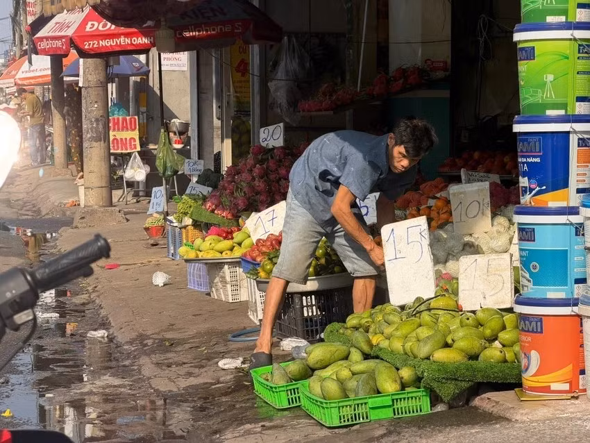 Tại TP HCM, xoài, thanh long... đang vào vụ thu hoạch nhưng giá khá rẻ. Ảnh: Plo