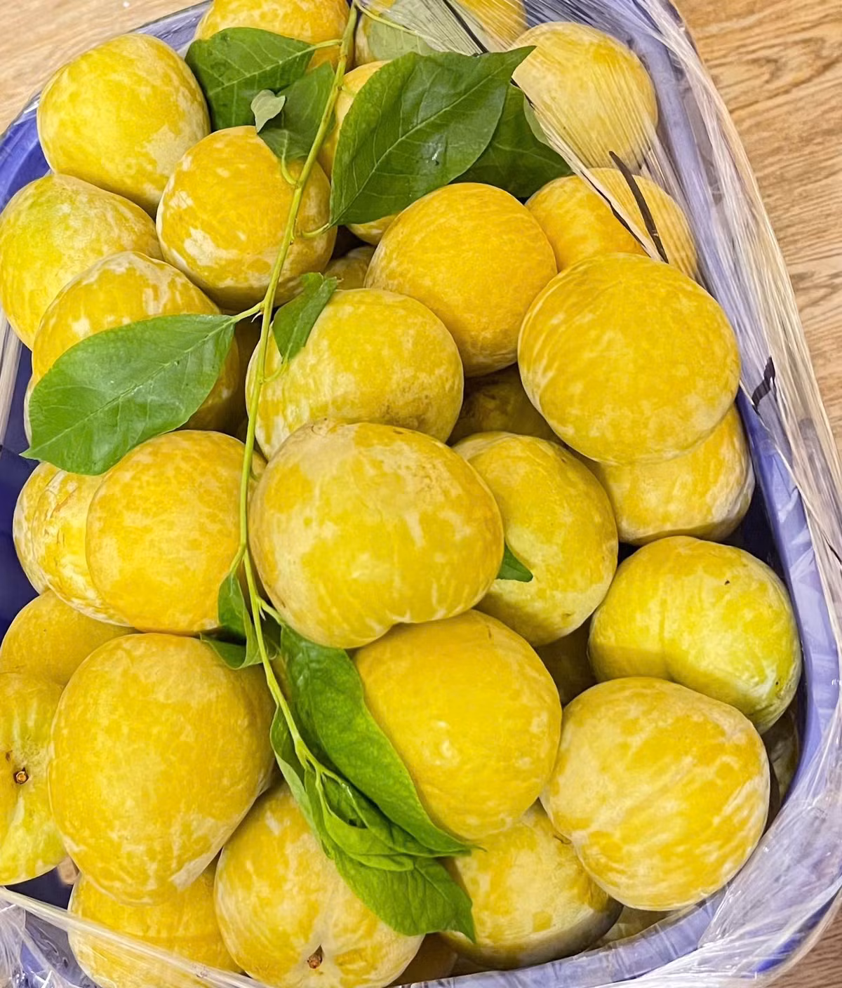 Trên thị trường, phần lớn các cửa hàng không có sẵn mận cau để bán lẻ, chủ yếu nhận đơn đặt trước. Ảnh; Facebook