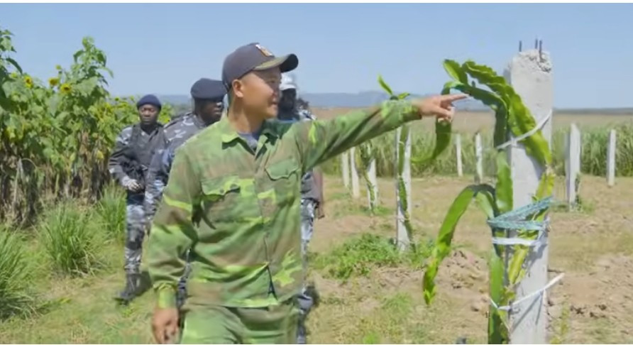 Vào mùa mưa, trang trại sẽ trồng nhiều cây hơn. Hiện tại là mùa khô nên ít cây cối, chỉ có một số loại rau củ quả có thể chịu nóng. Ảnh chụp màn hình