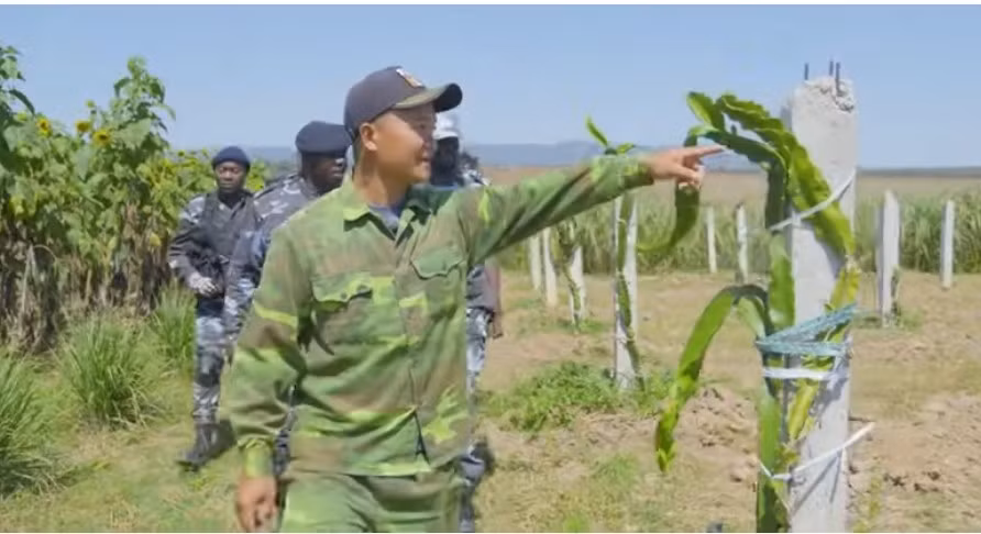 Vào mùa mưa, trang trại sẽ trồng nhiều cây hơn. Hiện tại là mùa khô nên ít cây cối, chỉ có một số loại rau củ quả có thể chịu nóng. Ảnh chụp màn hình