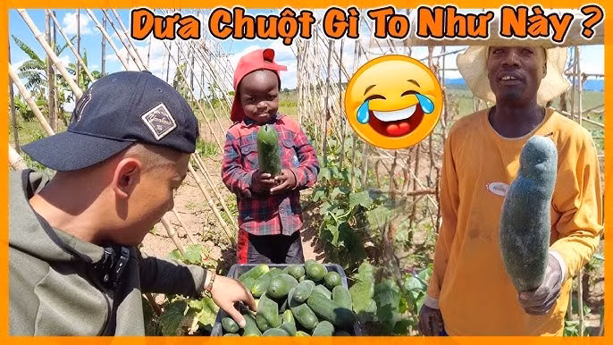 Sau khi Quang Linh Vlogs (Phạm Quang Linh, sinh năm 1997) vướng vòng lao lý vì quảng cáo sai sự thật, kênh YouTube Quang Linh Vlogs - Cuộc Sống ở Châu Phi vẫn duy trì hoạt động, đăng video đều đặn. Ảnh: YouTube