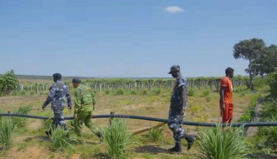 Trong video, nhóm cảnh sát nói đi kiểm tra toàn bộ khu vực và tiện ghé vào kiểm tra trang trại. Ảnh chụp màn hình