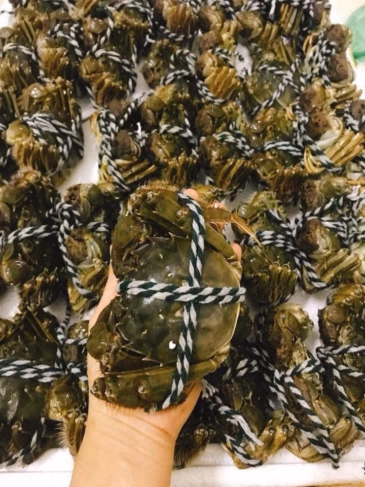 Từng là món ăn xa xỉ chỉ xuất hiện trong các bữa tiệc cao cấp nhờ vào hương vị tươi ngon, giàu dinh dưỡng, cua lông Trung Quốc nay trở nên dễ mua hơn tại Việt Nam khi được bán đại trà khắp chợ. Ảnh: Facebook