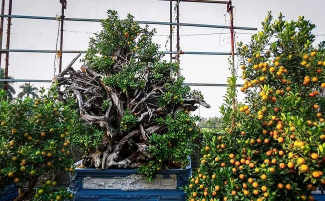 Những khối gỗ mang dáng vẻ xù xì, mộc mạc, uốn lượn theo các thế long - phụng, thác đổ... toát lên vẻ đẹp cổ kính. Ảnh: Vietnam+