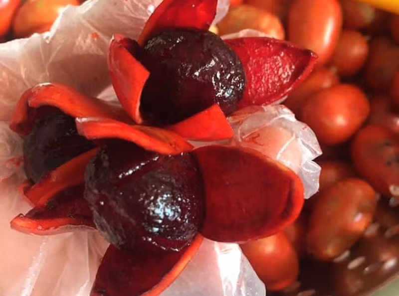 Quả máu màu đỏ tươi, bên trong đặc sánh, màu đỏ như màu máu. Ảnh: Vietnamnet
