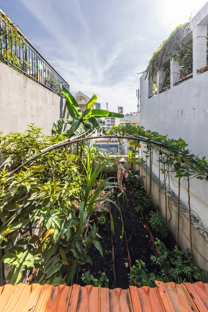 Khu vườn đơn giản trồng rau củ và trái cây. Ảnh: Hirouyki Oki