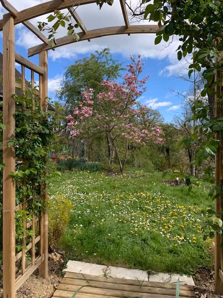 Nhiều người ví khu vườn của NSƯT Lê Vi đẹp như tranh vẽ. Ảnh: FB Tran Le Vi Levi