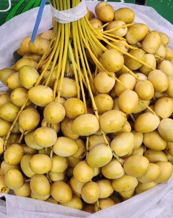 View - Chà là tươi nguyên cành giá rẻ gây sốt thị trường | Báo Tri thức và Cuộc sống - TIN TỨC PHỔ BIẾN KIẾN THỨC 24H