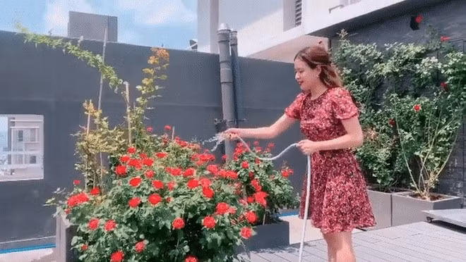 Trên sân thượng, nữ ca sĩ trồng nhiều hoa và cây cảnh tạo không gian thoáng cho căn nhà. Ảnh: FBNV
