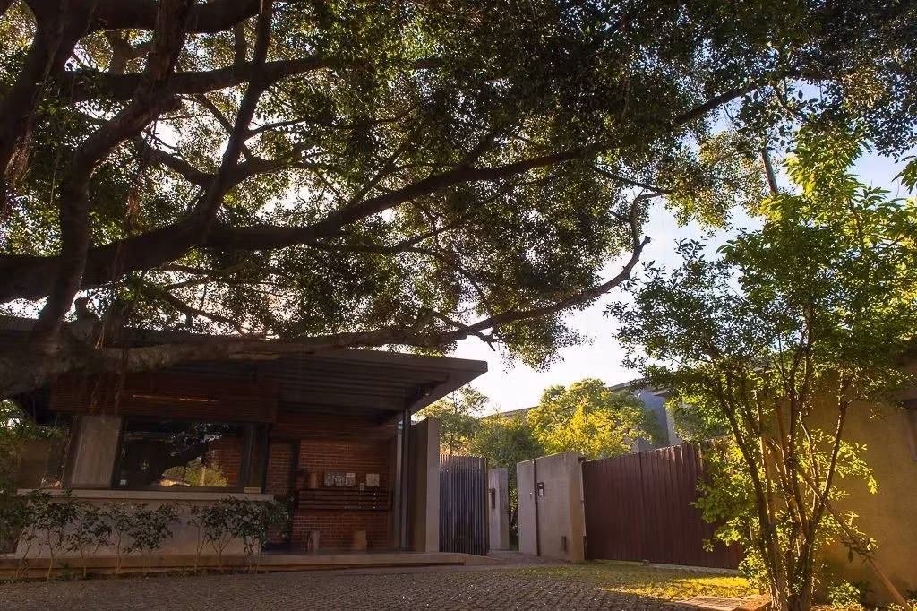 Tầng cao nhất của căn biệt thự có tầm nhìn rộng mở, tầng giữa tạo cảm giác yên tĩnh và an toàn, tầng dưới gần thiên nhiên nhất. Ảnh: The Paper