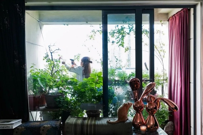 Ban công 3m2 biến thành khu vườn mini xanh mướt. Ảnh: Sina