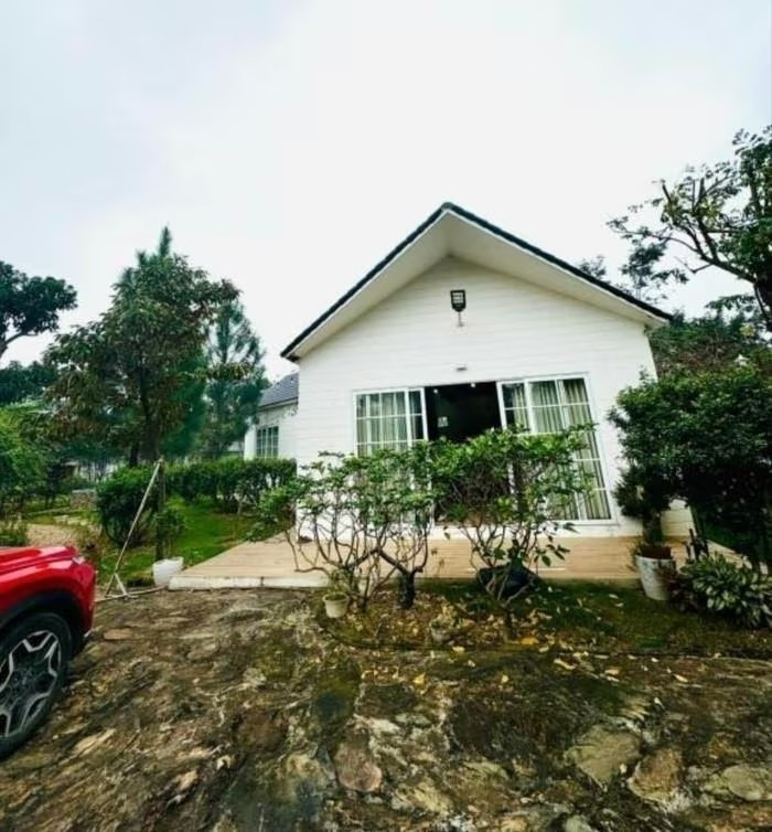 Cơ ngơi rộng khoảng 1.000 m2 vừa là quà tặng bố mẹ khi nghỉ hưu vừa là thành quả sau một thời gian dài anh cùng người thân miệt mài lao động. Ảnh: FBNV