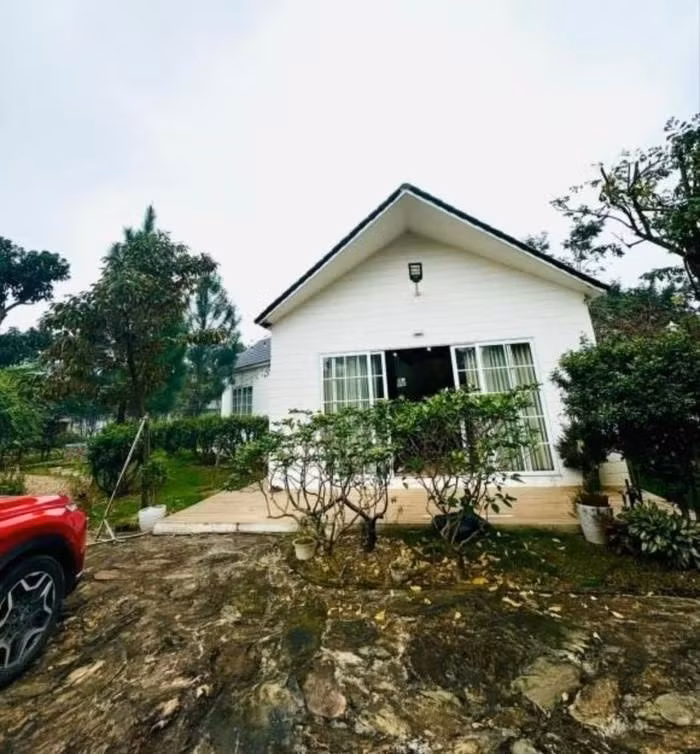 Cơ ngơi rộng khoảng 1.000 m2 vừa là quà tặng bố mẹ khi nghỉ hưu vừa là thành quả sau một thời gian dài anh cùng người thân miệt mài lao động. Ảnh: FBNV