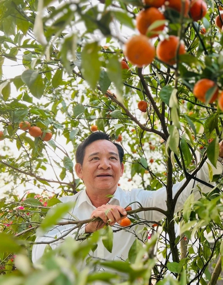 Cây sai trĩu quả trong sân biệt thự của nghệ sĩ Quang Tèo. Ảnh: FBNV