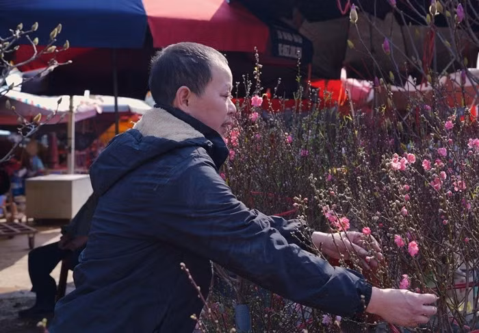 Hơn một tháng nữa mới đến Tết Nguyên đán Bính Ngọ 2026 nhưng sắc xuân đã bắt đầu ngập tràn phố phường Hà Nội. Ảnh: Báo Công Thương