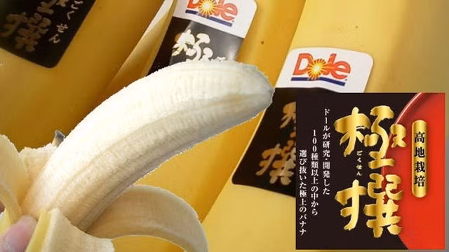 Một quả chuối Gokusen dài 23cm và nặng hơn 200gr trong khi một quả chuối bình thường chỉ nặng 100gr. Ảnh: Soranews24