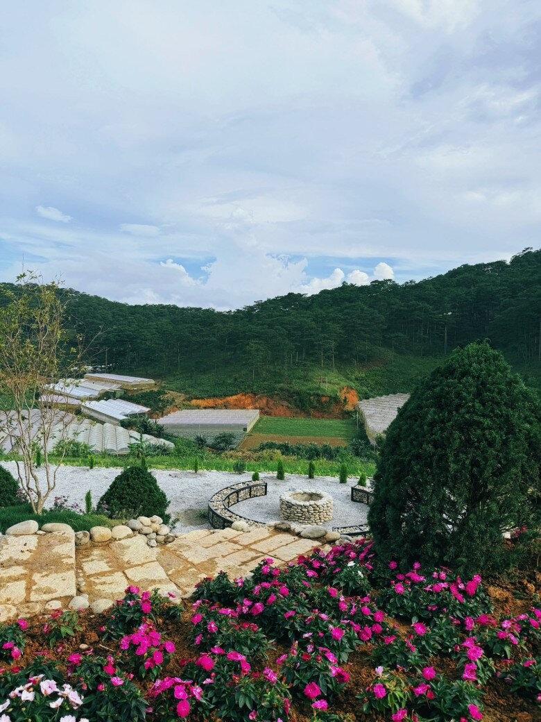 Khóm hoa rực rỡ sắc màu bao quanh lối đi, tạo khung cảnh thơ mộng, tràn đầy sức sống. Ảnh: FB Bui Quynh Hoa