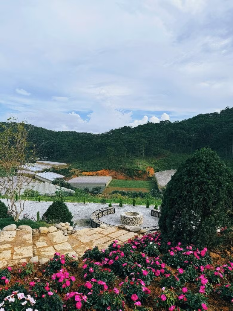 Khóm hoa rực rỡ sắc màu bao quanh lối đi, tạo khung cảnh thơ mộng, tràn đầy sức sống. Ảnh: FB Bui Quynh Hoa