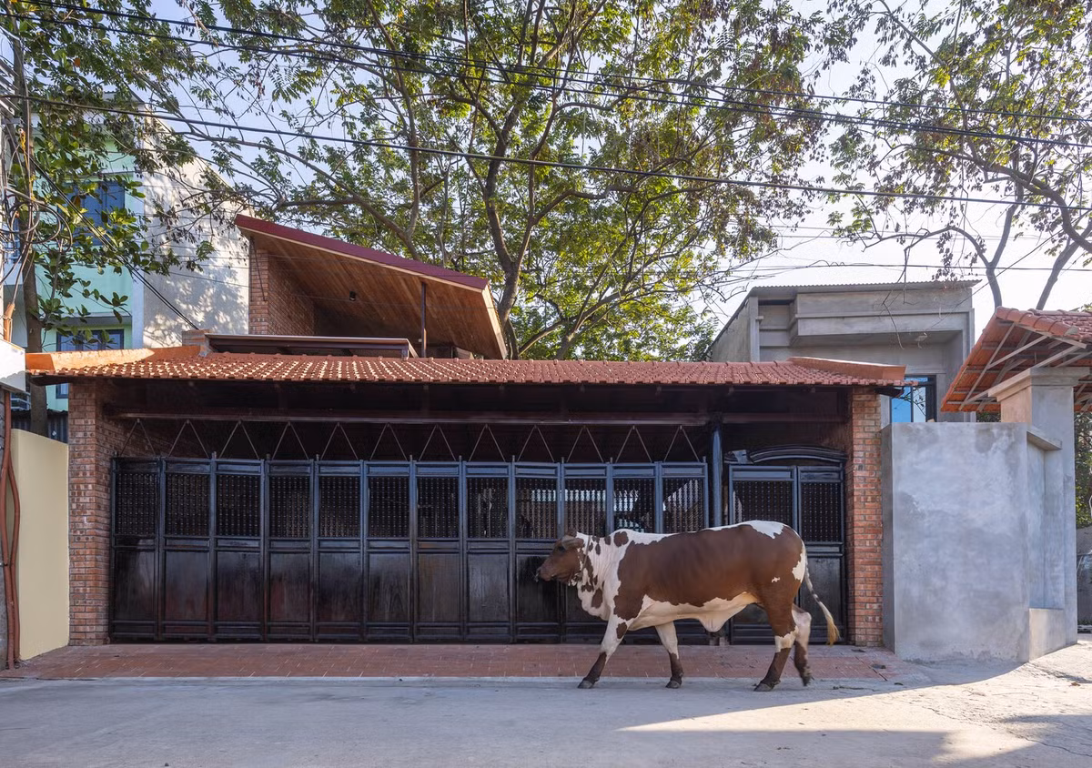 Ngôi nhà được thiết kế cho gia đình ba thế hệ điển hình ở nông thôn Việt Nam, bao gồm cha mẹ già, một cặp vợ chồng trẻ và con nhỏ. Ảnh: Trieu Chien