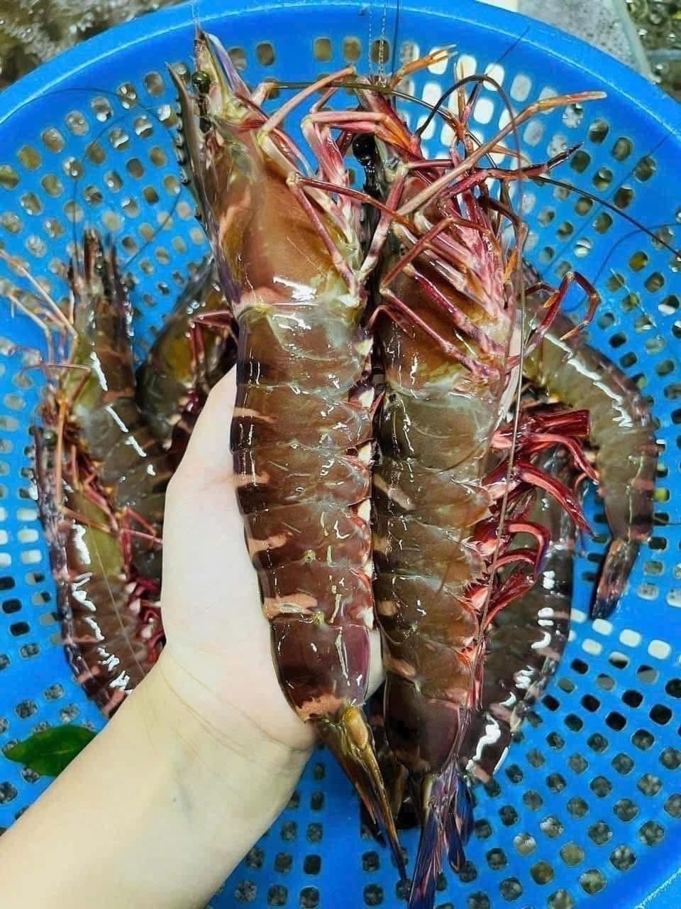 Dù đắt nhưng khách hàng muốn mua cũng không dễ. Ảnh: FB Thắm Nguyễn