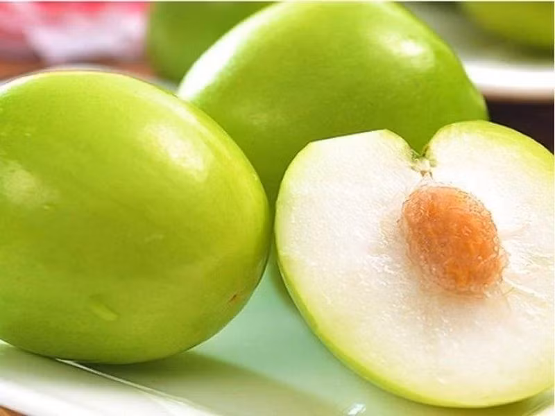 Nhờ vậy, táo gió Phan Rang được nhiều người yêu thích, đặc biệt là trong dịp Tết khi nhu cầu giải nhiệt, thanh mát lên cao. Ảnh: Viefarm