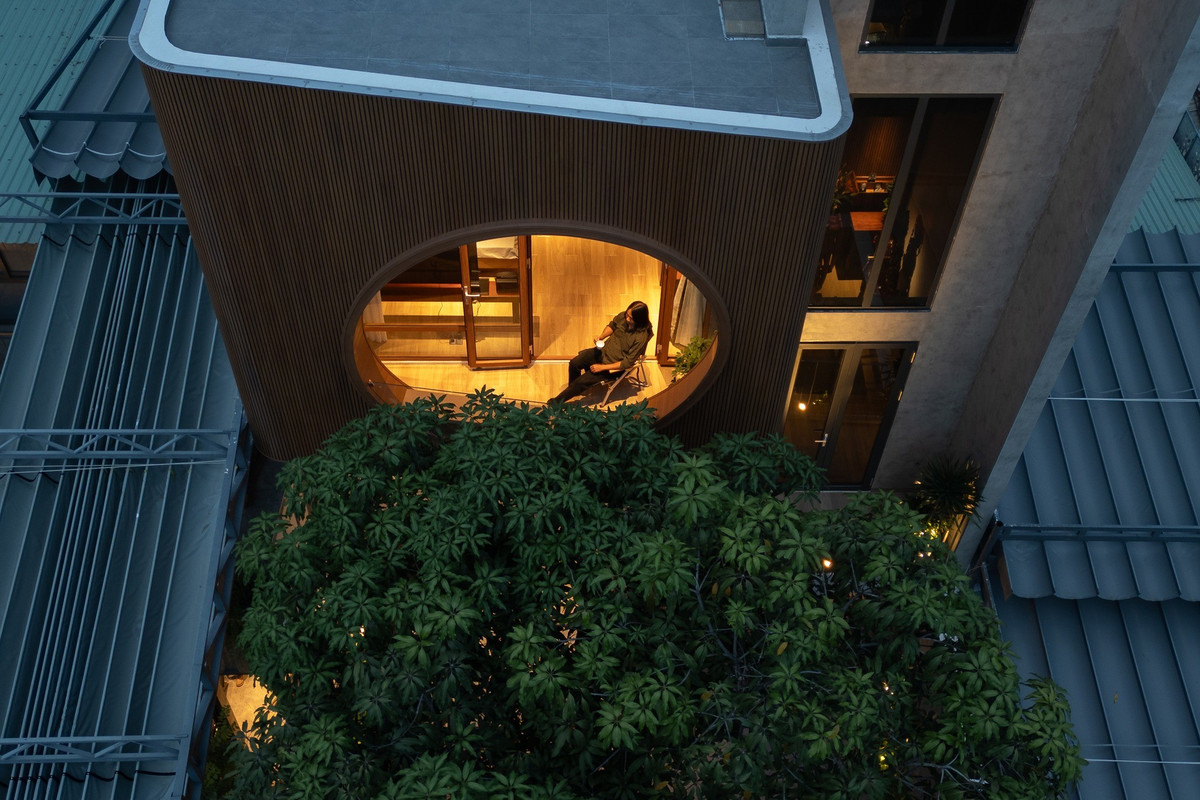 Thiết kế cửa độc đáo giúp gia chủ tận hưởng trọn vẹn khung cảnh bầu trời và tán cây cổ thụ. Ảnh: Quang Dam