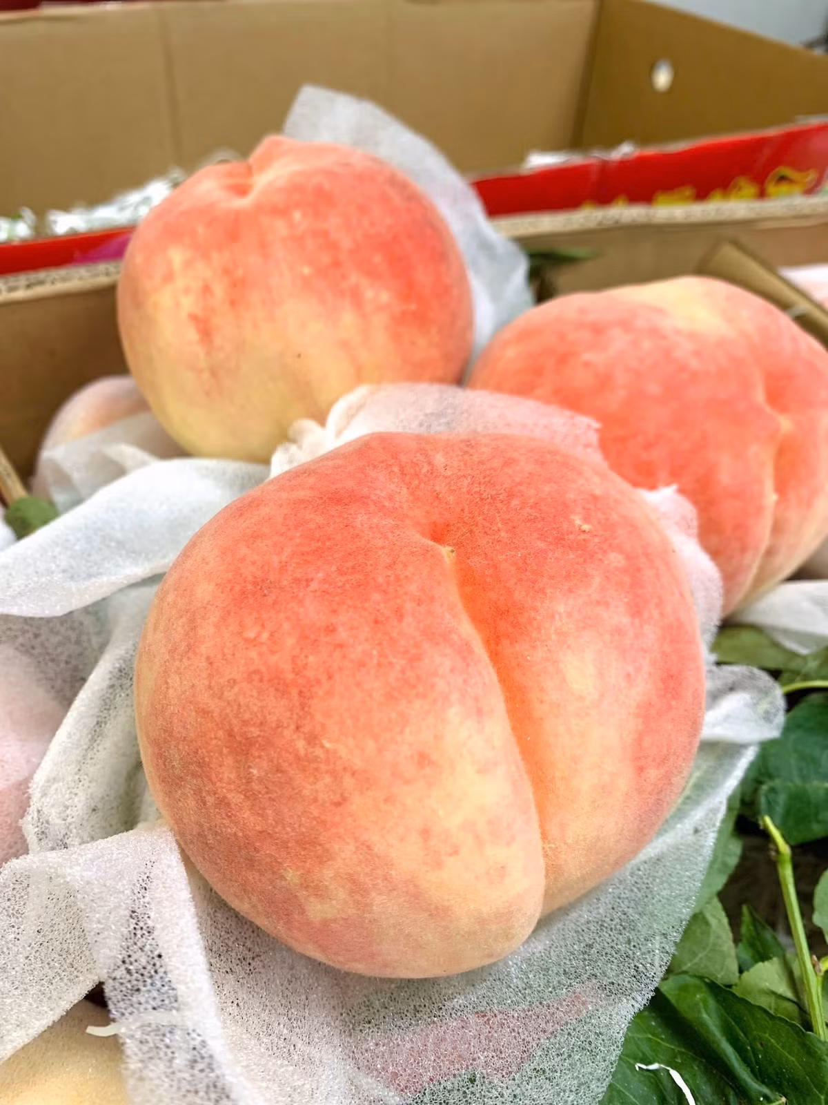 Tính ra, mỗi trái đào tiên Trung Quốc giá khoảng 40.000 đồng. Ảnh: Facebook