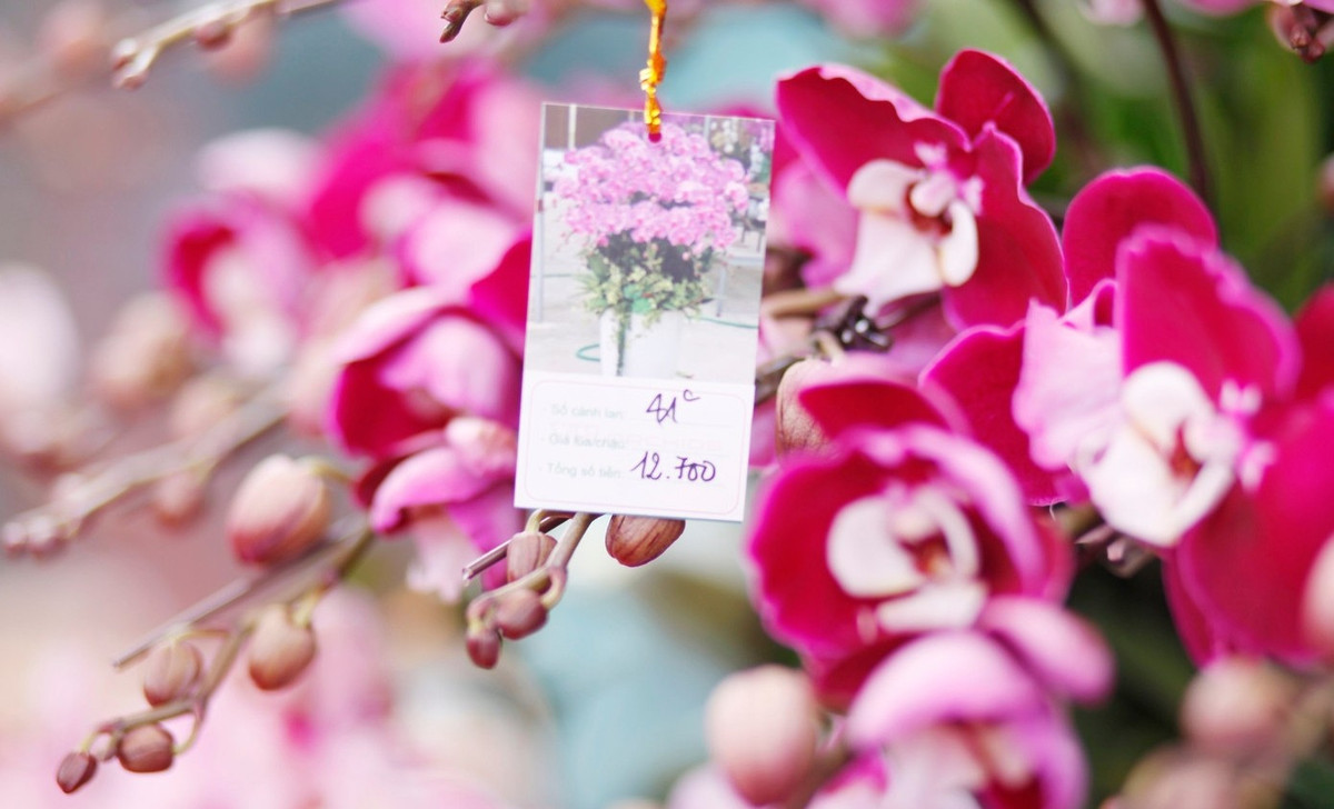 Thông thường, thị trường sôi động nhất từ khoảng từ ngày 15 tháng Chạp trở đi. Ảnh: Tiền phong