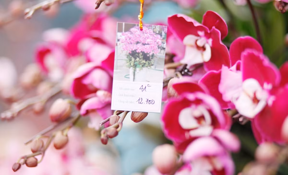 Thông thường, thị trường sôi động nhất từ khoảng từ ngày 15 tháng Chạp trở đi. Ảnh: Tiền phong