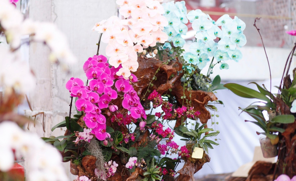 Theo các tiểu thương, hiện sức mua từ của thị trường vẫn giữ ổn định, chưa có biến động lớn. Ảnh: Tiền phong