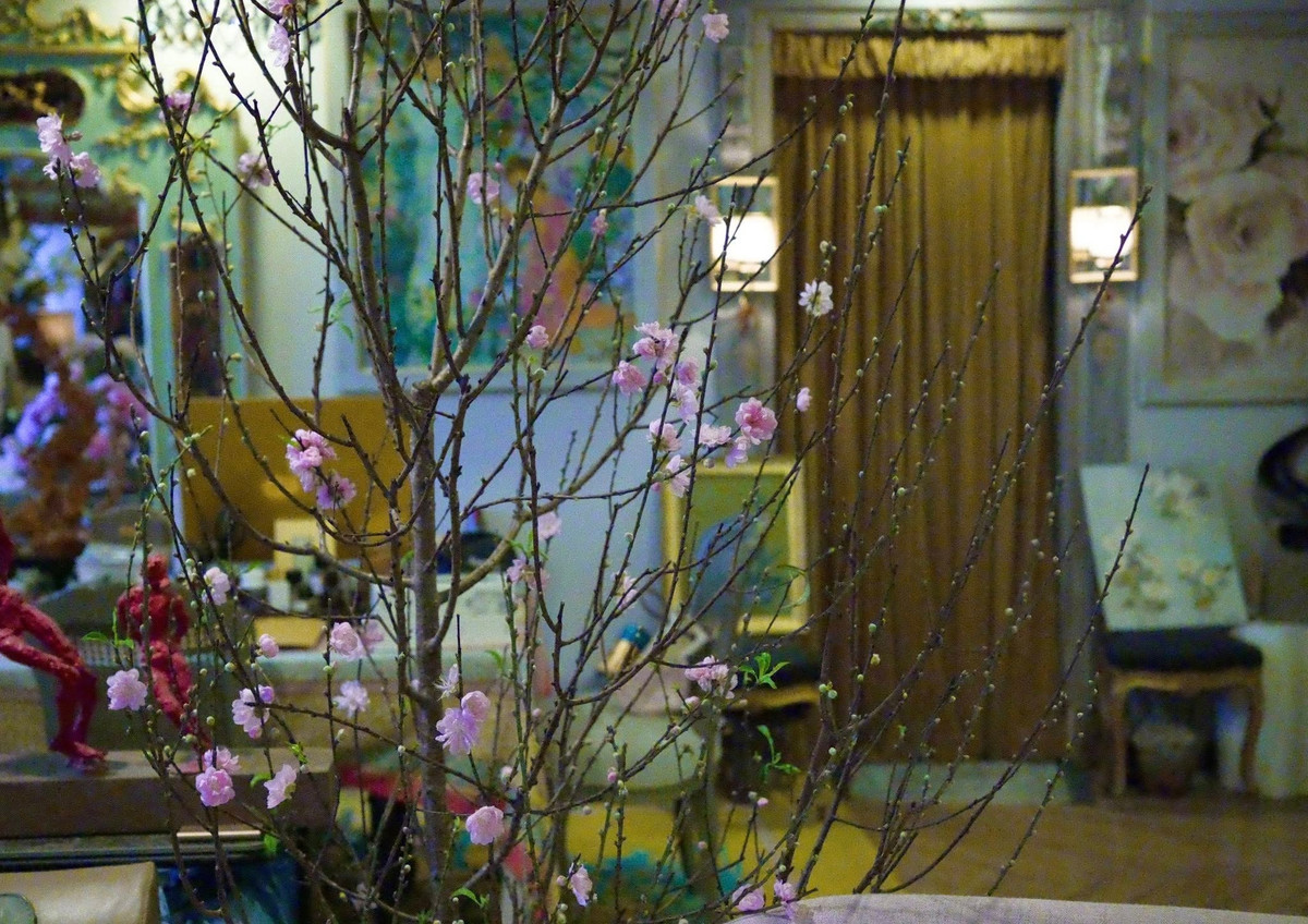 Phòng khách hiện lên đầy nghệ thuật với sự sắp đặt tài tình. Ảnh: FB Lý Quí Khánh