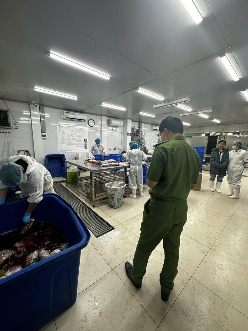 Tại đây, lực lượng chức năng bắt quả tang nhân viên của Công ty Hida đang bơm tinh chất “biến hóa” thịt trâu thành thịt bò mang nhãn hiệu Hidasan. Ảnh: Plo