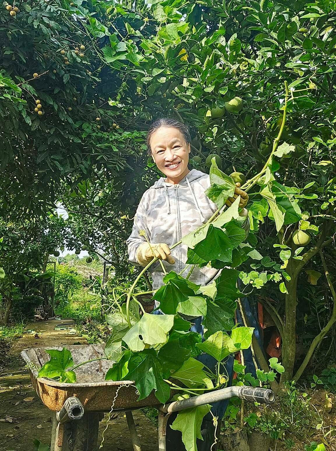 Mỗi ngày, nữ diễn viên ra vườn từ khoảng 5h, để mặt mộc để tận hưởng gió và nắng sớm. Ảnh: FB Oanh Le Tu