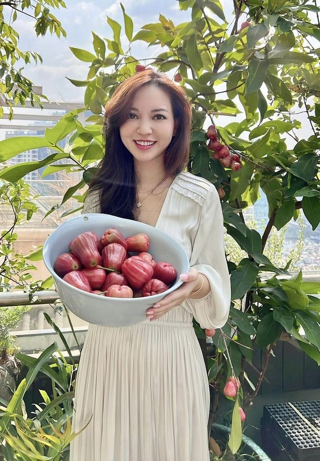 Cây nào cũng sum suê trái. Ảnh: FBNV