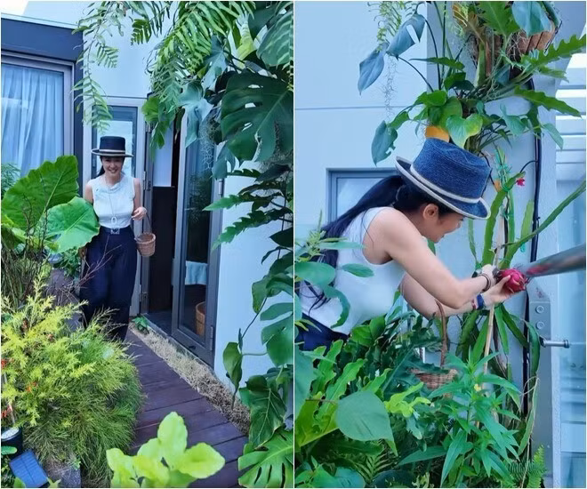 Tại ban công, diva Hồng Nhung trồng các loại hoa, rau để làm salad. Ảnh chụp màn hình