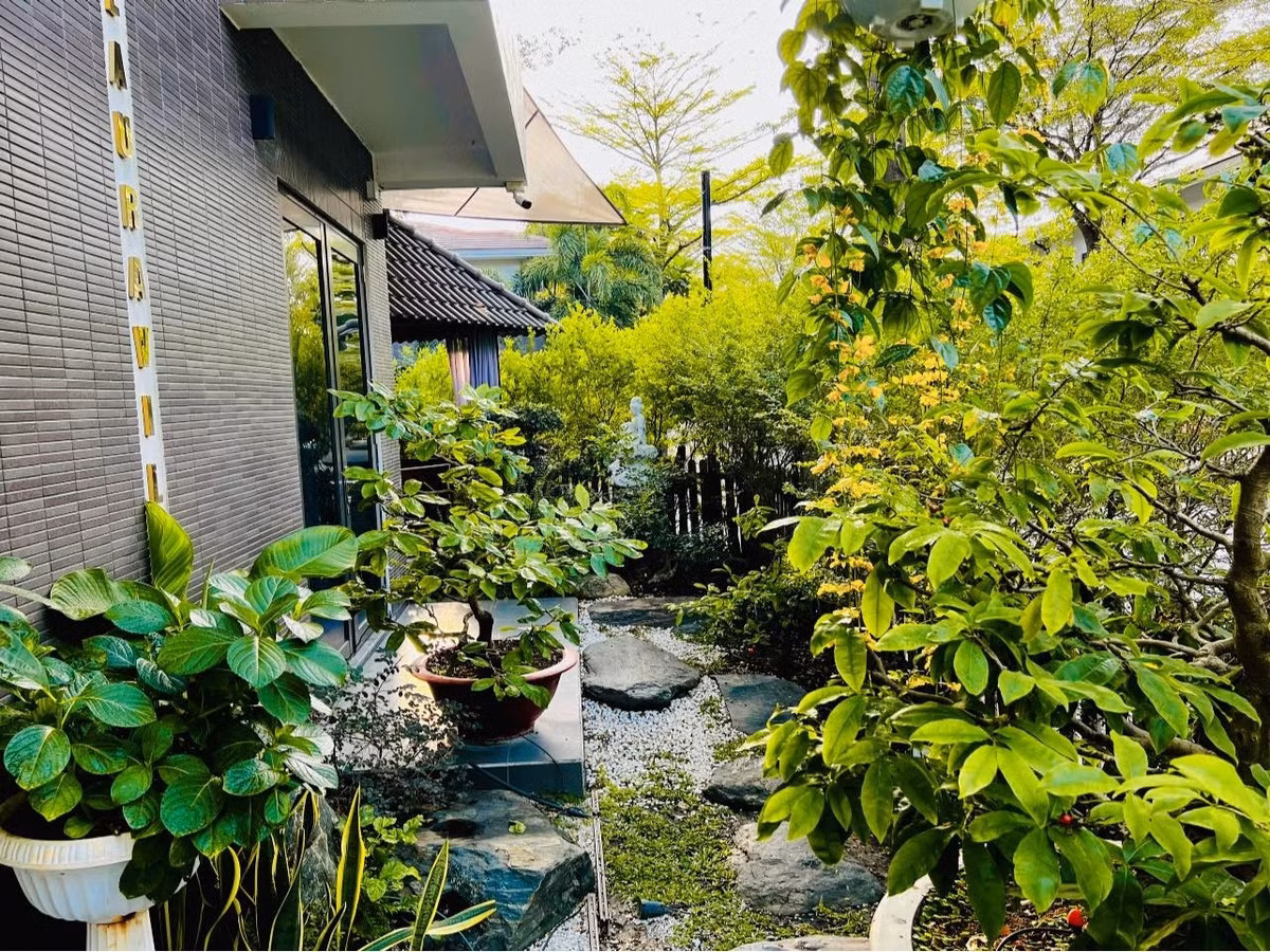 Cây cối xanh mát tạo cảm giác bình yên. Ảnh: FBNV